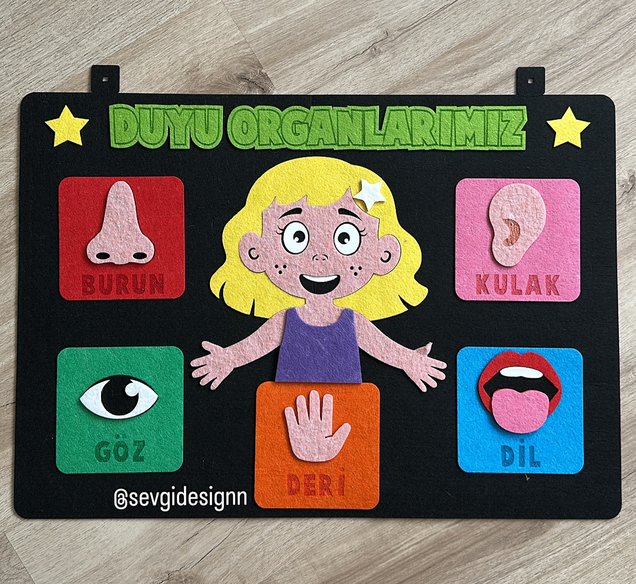 Duyu Organlarımız Panosu